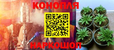 дмт Бузулук