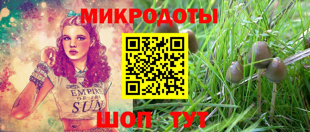 Галлюциногенные грибы Magic Shrooms  Вход с VPN  Краснодар  Галлюциногенные грибы Psilocybe 