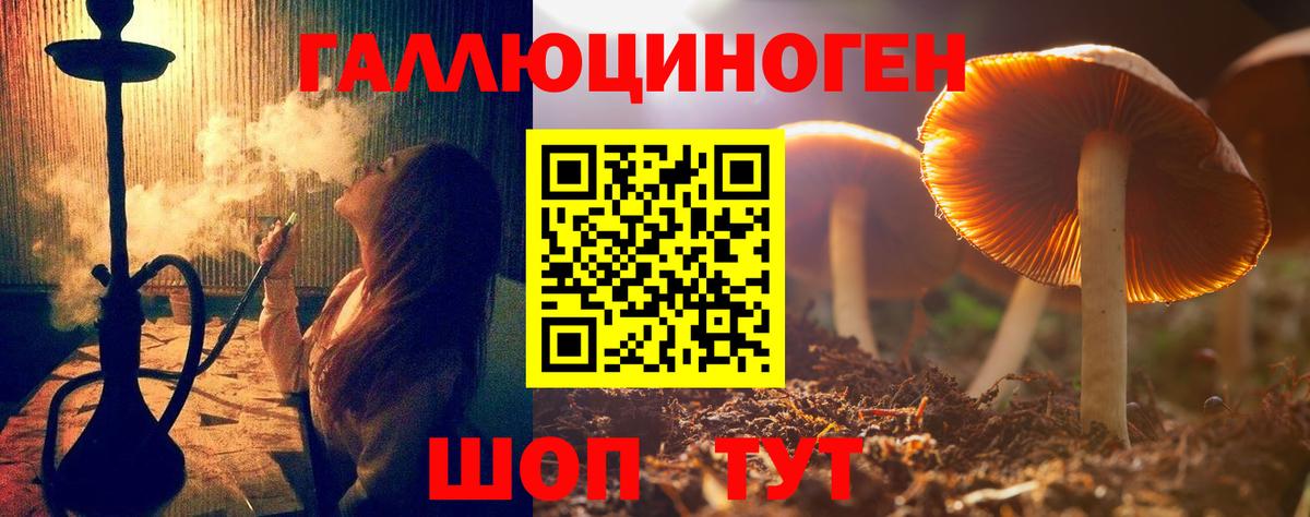 Псилоцибиновые грибы Cubensis Краснодар